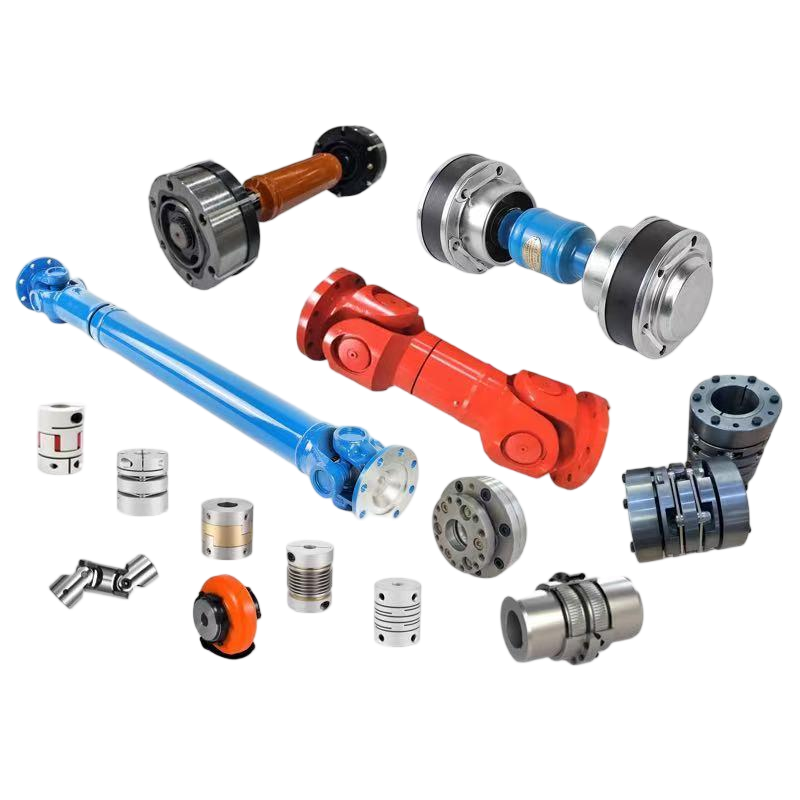 Focus in coitu Industry